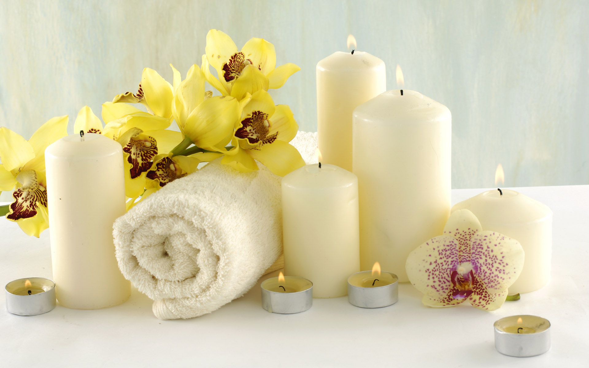 CLEOPATRA WELLNESS & AESTHETICS .