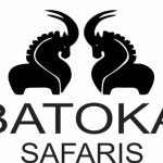 Batoka Safaris Victoria Falls 