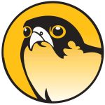Falcon Safaris 