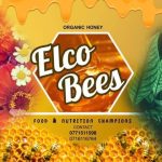 Elco Bees