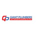 GIANT PLUMBERS
